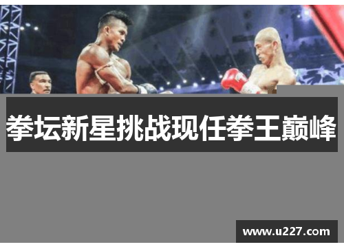 拳坛新星挑战现任拳王巅峰