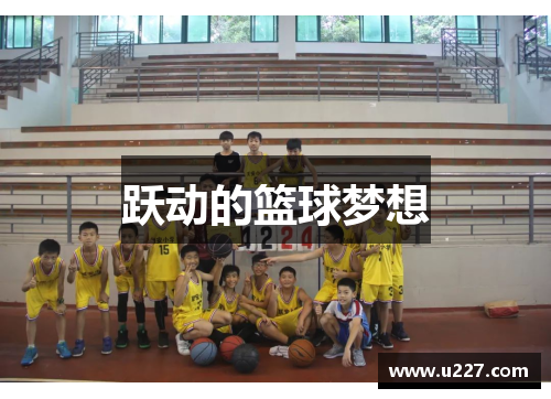 跃动的篮球梦想